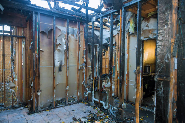 Professional Emergency Fire Cleanup technician working in Pine Lakes, FL